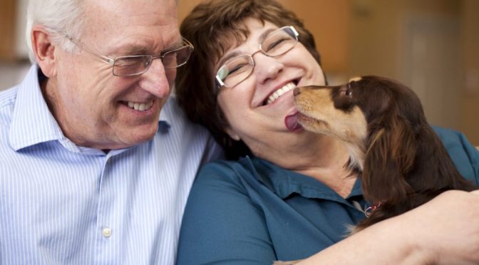 Pet Terapia – como o contato com animais transforma o cotidiano dos idosos