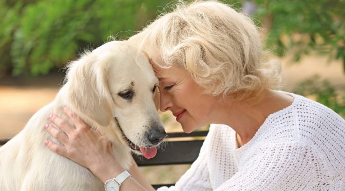 Convivência entre idosos e animais de estimação faz bem para saúde